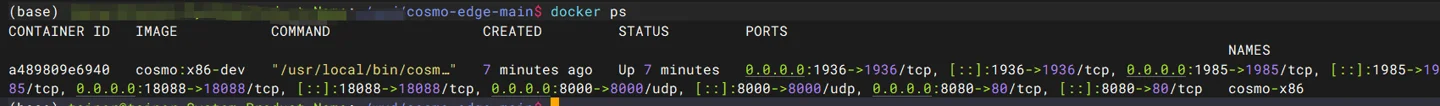CosmoEdge containers in the running state